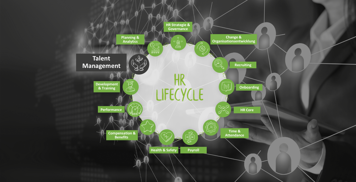 Talent Management im HR Lifecycle